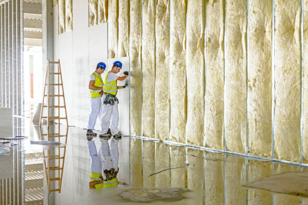 Best Insulation Maintenance and Repair in Country Club Estates, GA